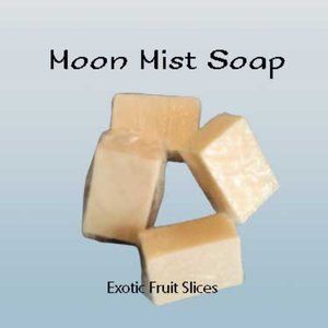 Exotic Fruit Slices Homemade Handmade Bath & Body Bar Soap - 5 ounce